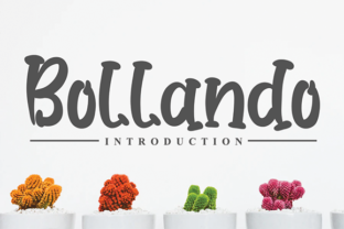 Bollando: A Classy Display Font for Modern Editorial Design