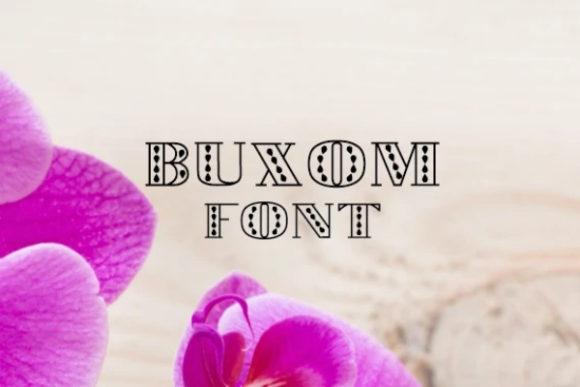 Buxom: A Bold Display Font That Feels Down-to-Earth