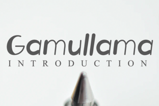 Gamullama: A Friendly Display Font for Crafters and Product Makers