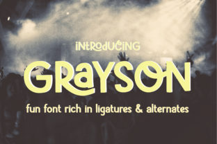 Grayson: A Playful Display Font That Elevates Web Design